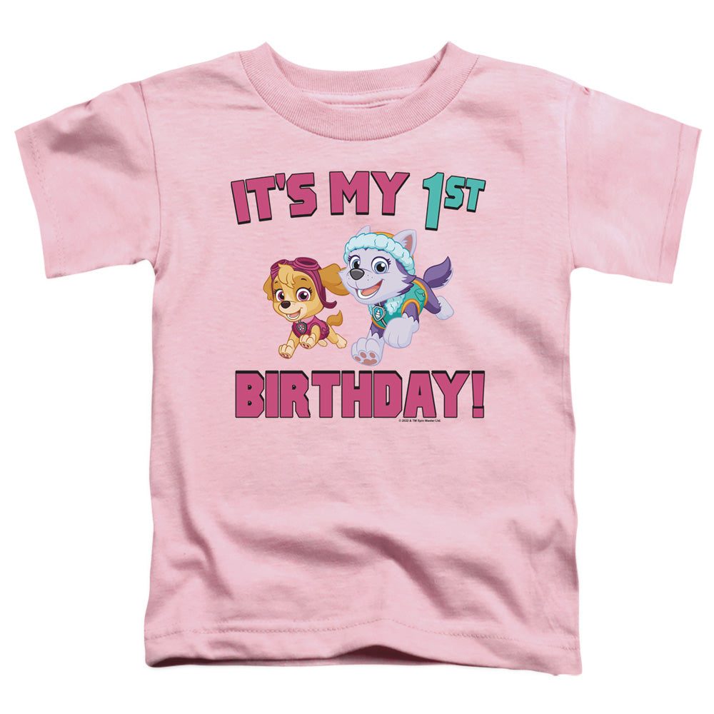 PAW PATROL : GIRL GROUP HAPPY BIRTHDAY S\S TODDLER TEE Pink LG (4T)