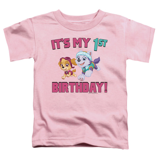 PAW PATROL : GIRL GROUP HAPPY BIRTHDAY S\S TODDLER TEE Pink LG (4T)