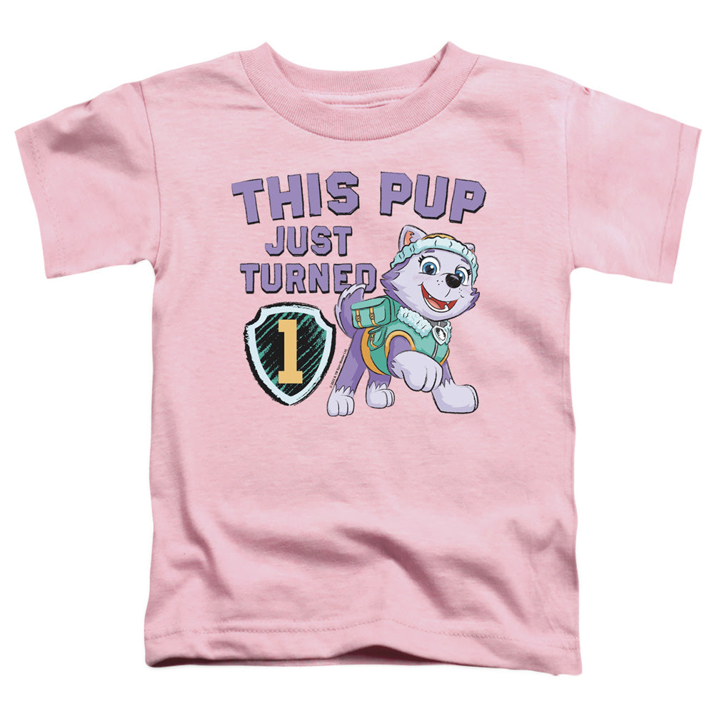 PAW PATROL : THIS PUP GIRL BIRTHDAY S\S TODDLER TEE Pink MD (3T)