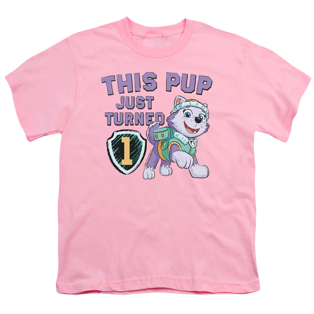 PAW PATROL : THIS PUP GIRL BIRTHDAY S\S YOUTH 18\1 Pink MD