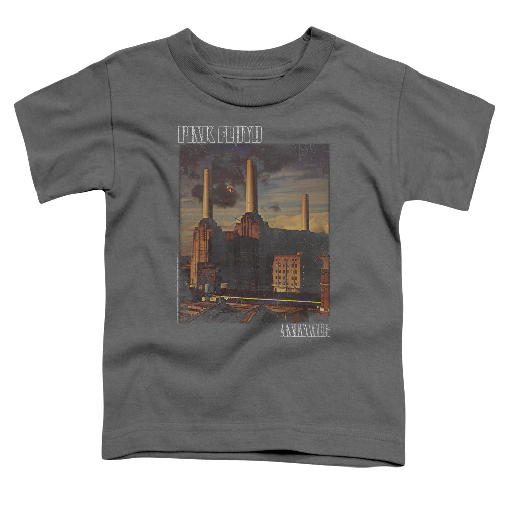 PINK FLOYD : FADED ANIMALS S\S TODDLER TEE Charcoal MD (3T)