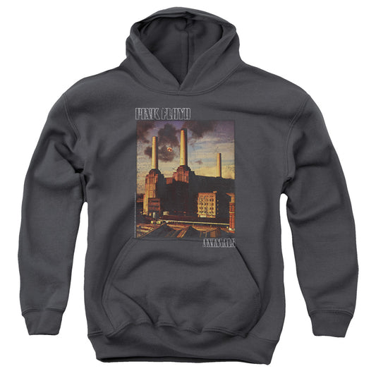 PINK FLOYD : FADED ANIMALS YOUTH PULL OVER HOODIE Charcoal LG