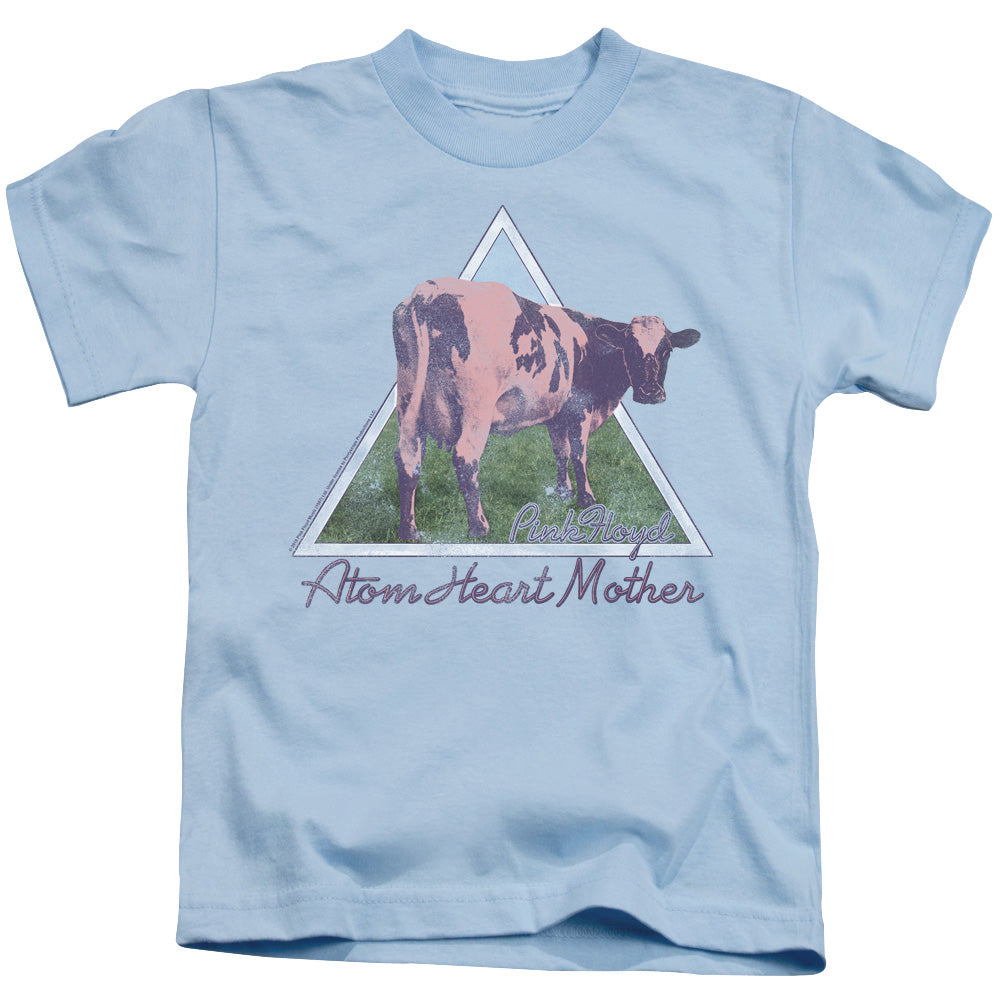 PINK FLOYD : ATOM MOTHER HEART PYRAMID S\S JUVENILE 18\1 Light Blue LG (7)