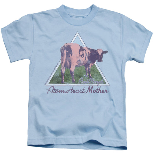 PINK FLOYD : ATOM MOTHER HEART PYRAMID S\S JUVENILE 18\1 Light Blue LG (7)