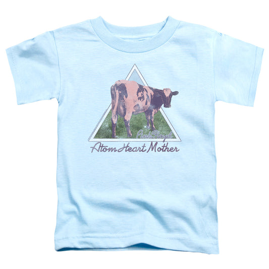 PINK FLOYD : ATOM MOTHER HEART PYRAMID S\S TODDLER TEE Light Blue MD (3T)