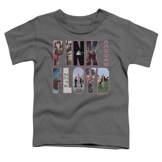 PINK FLOYD : COVER S\S TODDLER TEE Charcoal LG (4T)