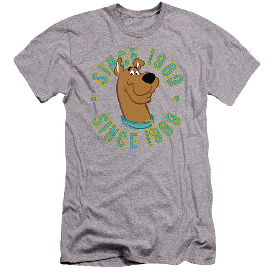 SCOOBY DOO : SCOOBY 1969  PREMIUM CANVAS ADULT SLIM FIT 30\1 Athletic Heather XL