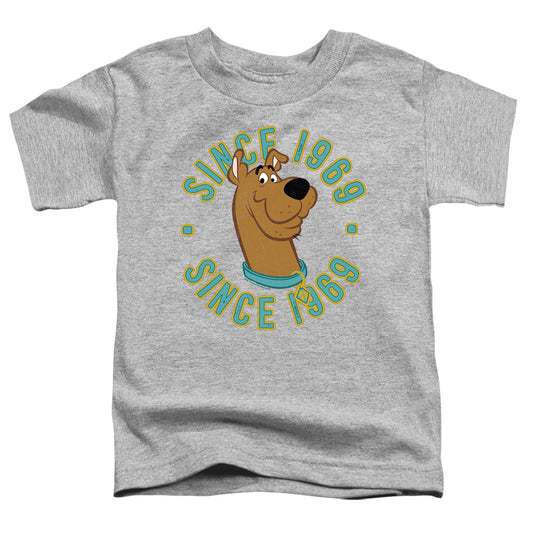 SCOOBY DOO : SCOOBY 1969 S\S TODDLER TEE Athletic Heather LG (4T)