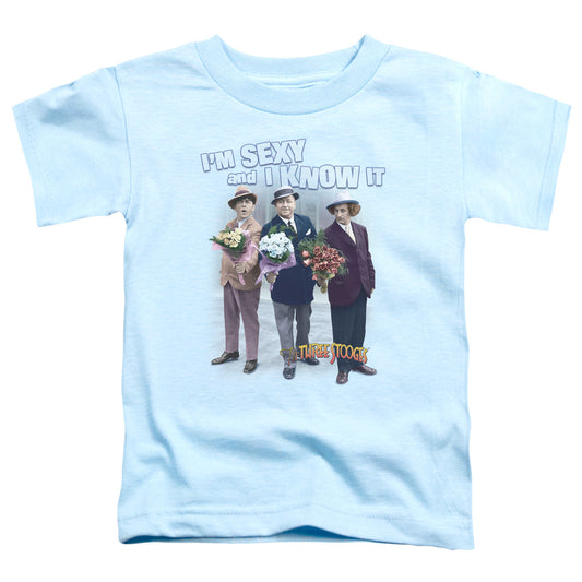 THREE STOOGES : SEXY S\S TODDLER TEE LIGHT BLUE LG (4T)