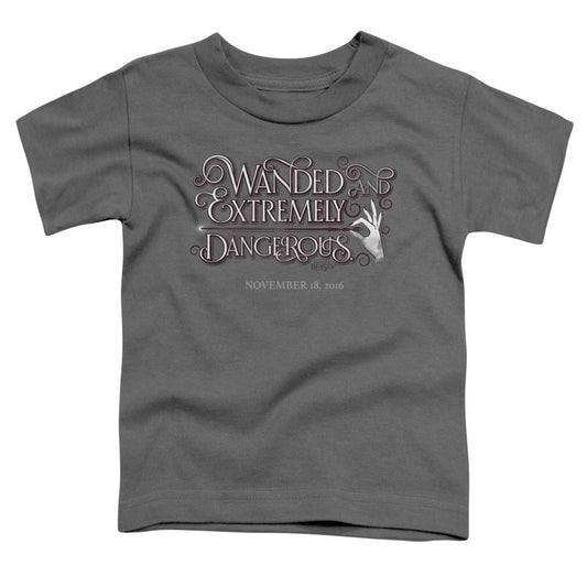 FANTASTIC BEASTS : WANDED S\S TODDLER TEE Charcoal LG (4T)