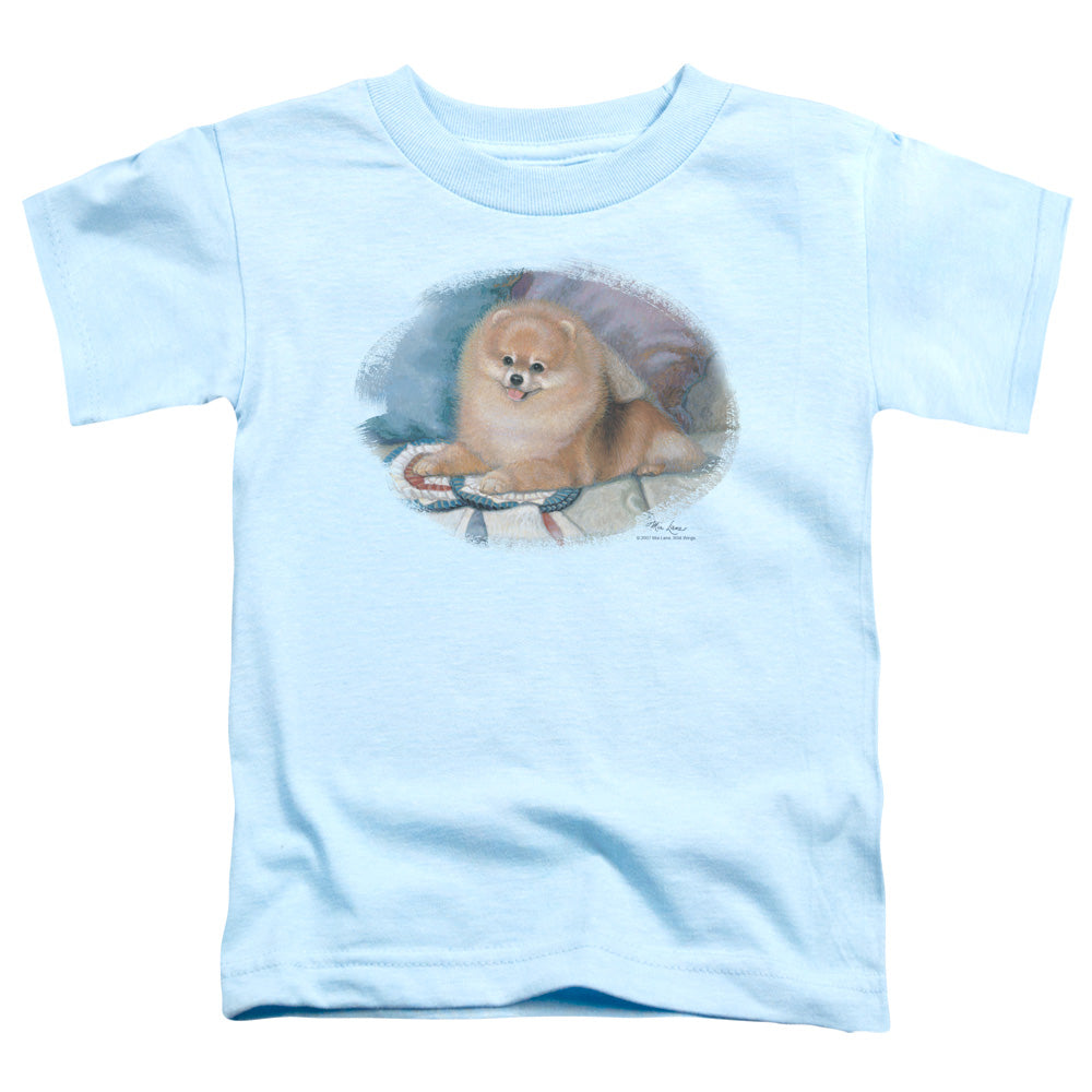 WILDLIFE : POMERANIAN PORTRAIT S\S TODDLER TEE Light Blue SM (2T)