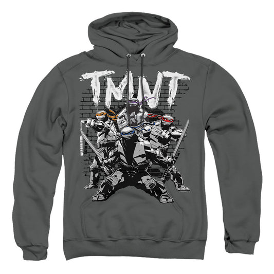 TEENAGE MUTANT NINJA TURTLES : TMNT TEAM ADULT PULL OVER HOODIE Charcoal 2X