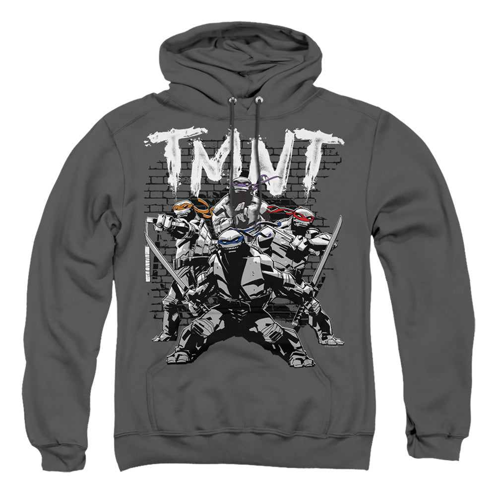 TEENAGE MUTANT NINJA TURTLES : TMNT TEAM ADULT PULL OVER HOODIE Charcoal LG