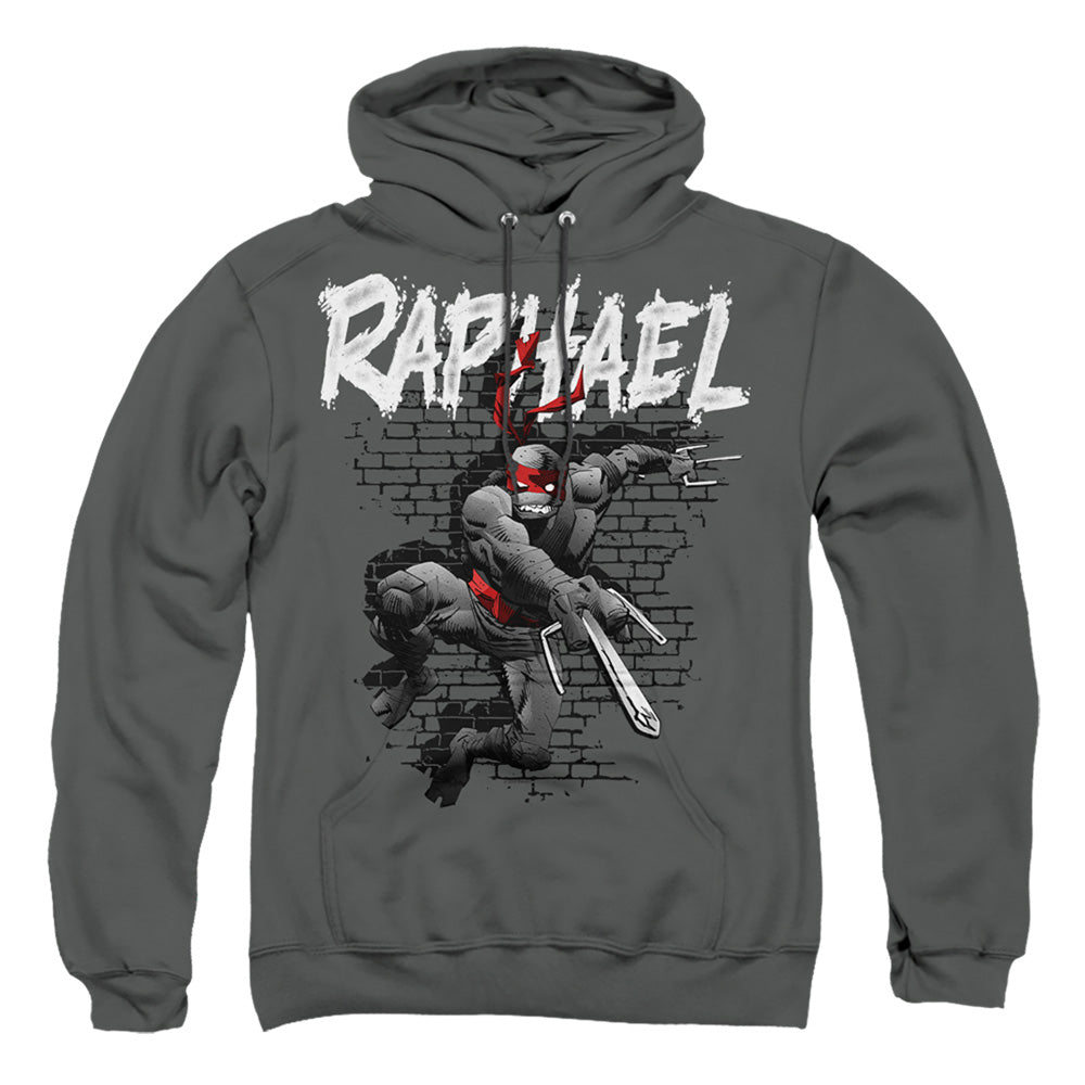 TEENAGE MUTANT NINJA TURTLES : TMNT RAPHAEL ADULT PULL OVER HOODIE Charcoal 2X