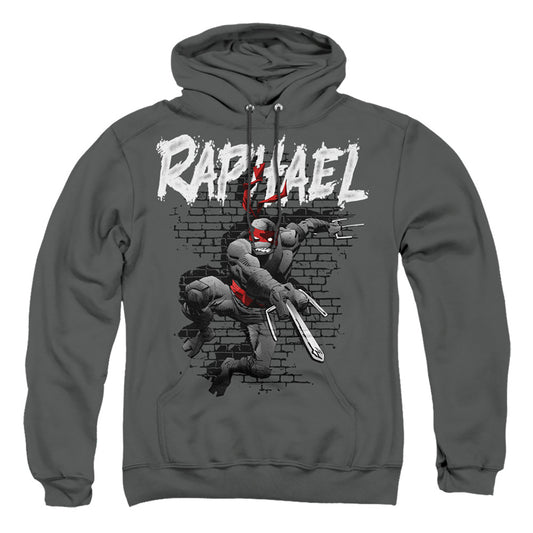 TEENAGE MUTANT NINJA TURTLES : TMNT RAPHAEL ADULT PULL OVER HOODIE Charcoal 2X