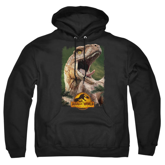 JURASSIC WORLD : RAPTOR BEAUTY SHOT ADULT PULL OVER HOODIE Black 2X