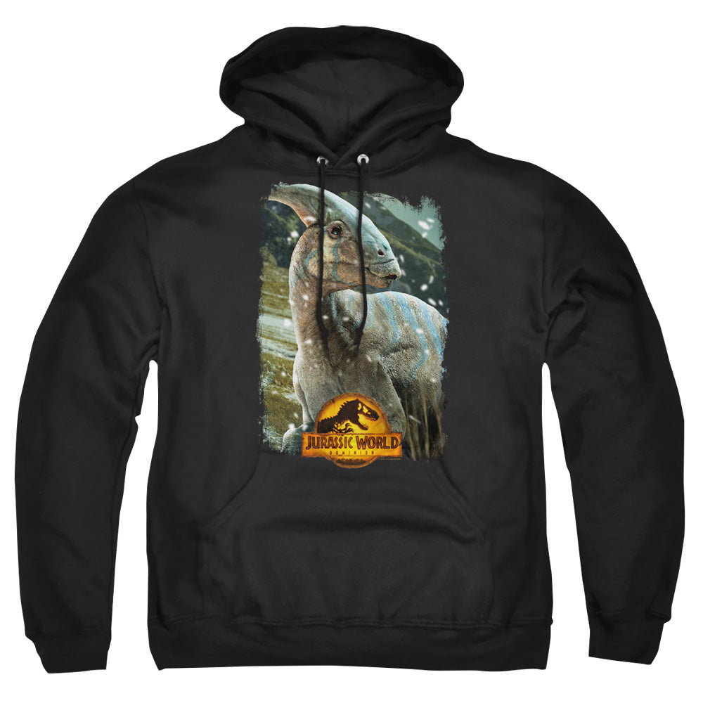 JURASSIC WORLD : PARASAUROLOPHUS BEAUTY SHOT ADULT PULL OVER HOODIE Black 2X