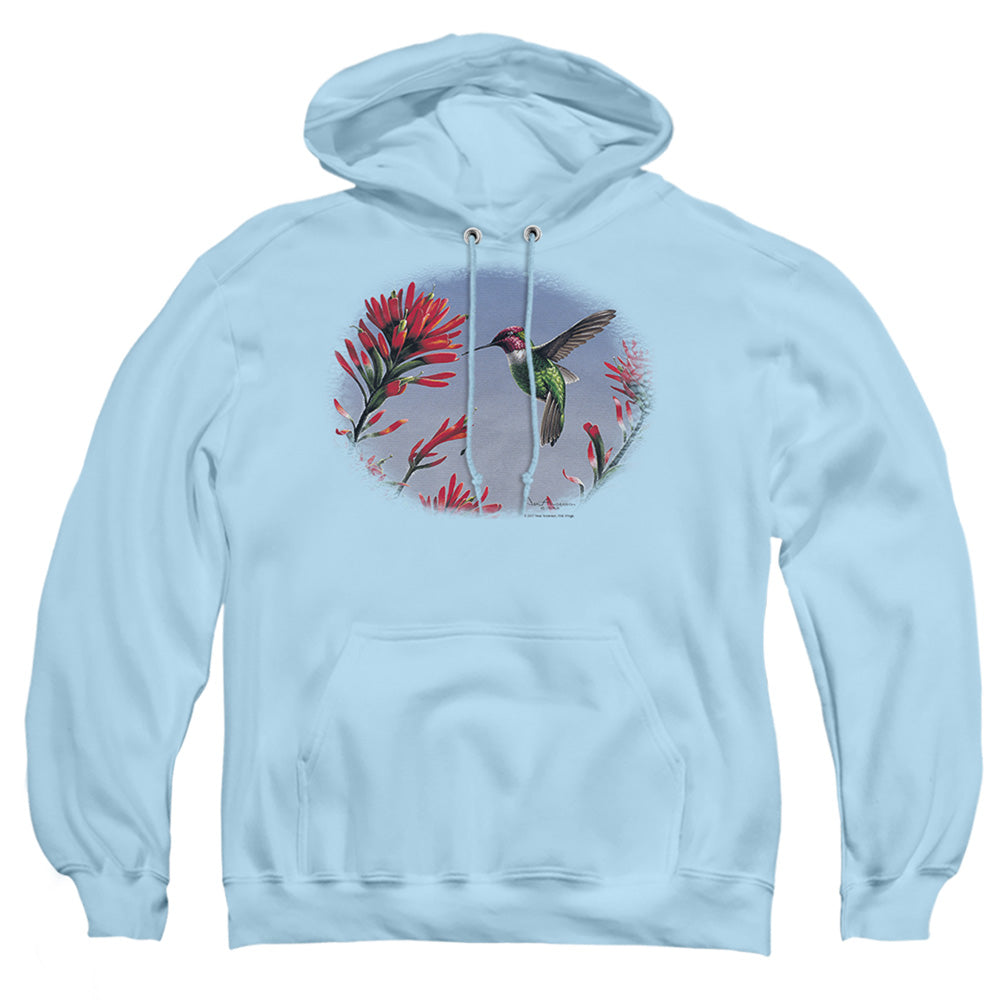 WILDLIFE : ANNA'S HUMMINGBIRD ADULT PULL OVER HOODIE LIGHT BLUE 2X