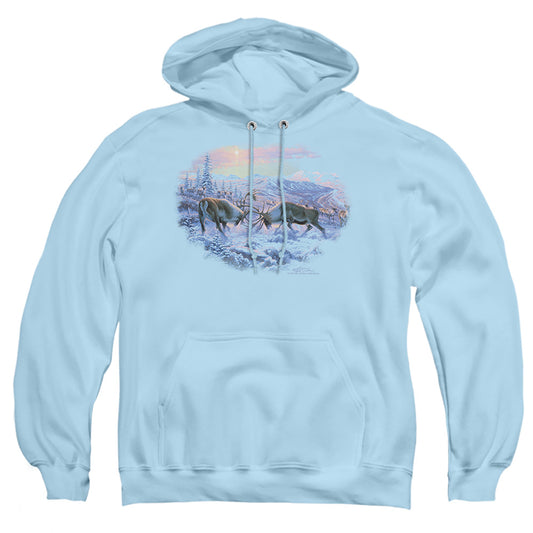 WILDLIFE : BATTLING BULLS ADULT PULL OVER HOODIE LIGHT BLUE 2X